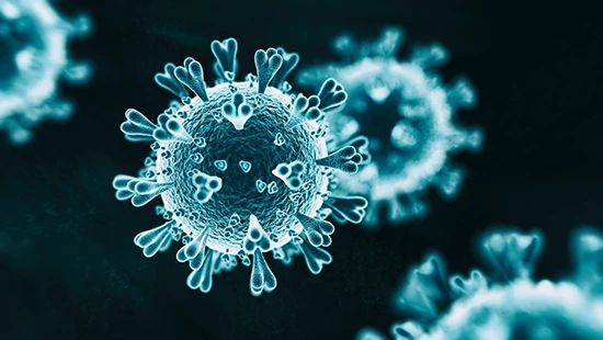 Microscopic view of bacteria.