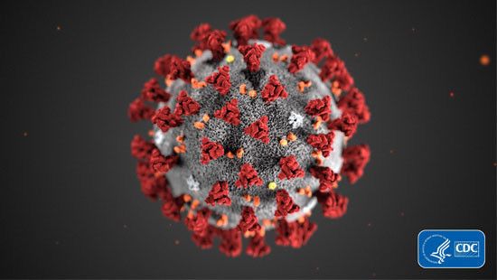 CDC Corona virus image, photo credit, Alissa Eckert, MS; Dan Higgins, MAM.