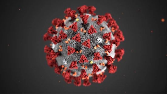 Microscopic view of Coronavirus bacteria.